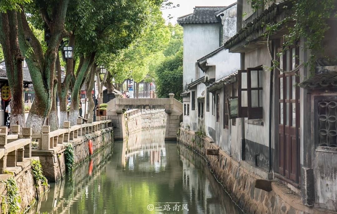 逃离仿真森林